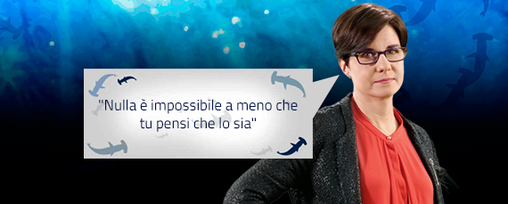 banner citazione shark tank mariarita costanza